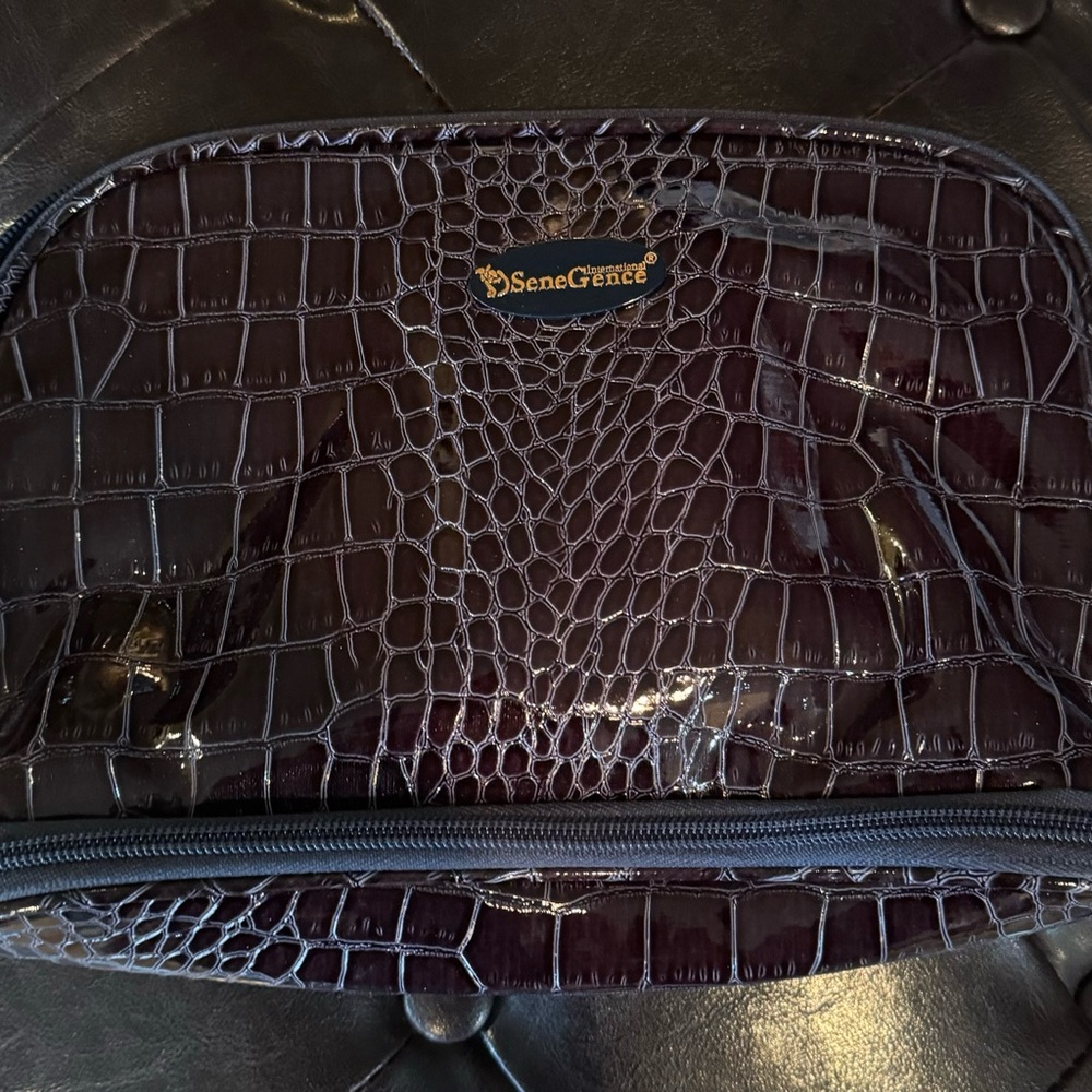 Senegence make up case.